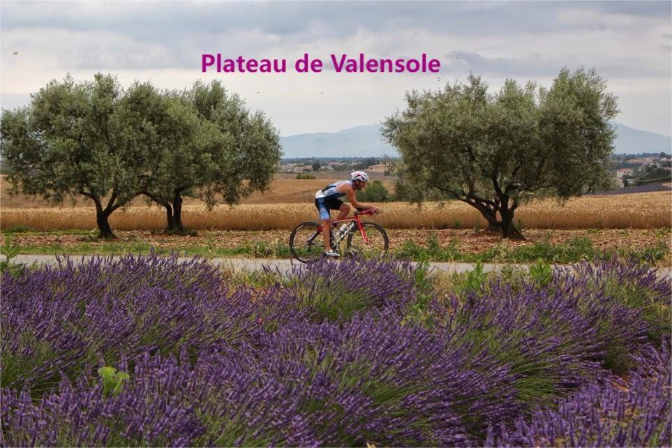 Coeur De Ville, T2, Rue Pietonne, Digne Les Bains Buitenkant foto